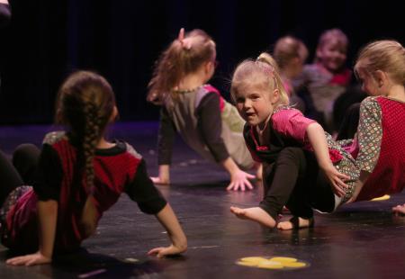 PLESNA REVIJA 02 FOTO LJUBO VUKELIČ